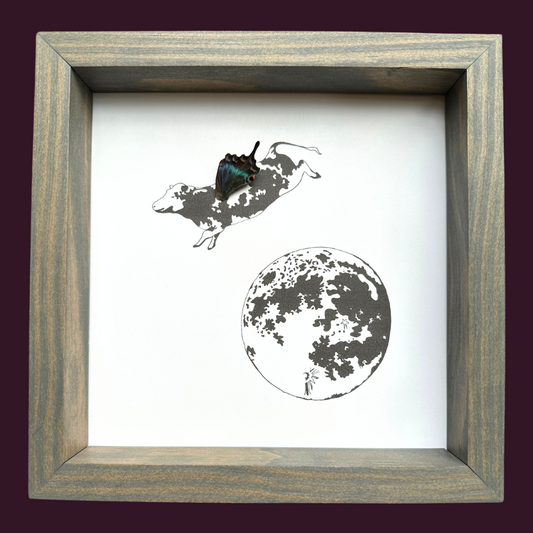 Cow Jumping Moon Real Butterfly Wing Framed Illustration Wings From and For Conservation