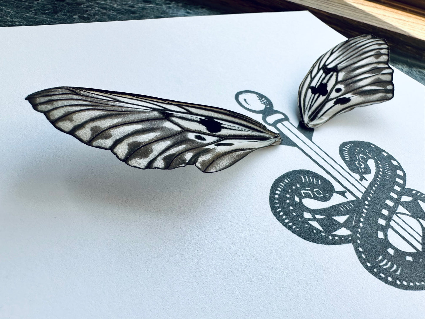 Caduceus Medical Symbol Real Butterfly Wings Art Ethically Sourced Made in MN USA - Holly Ulm - Isms Butterfly Conservation Art