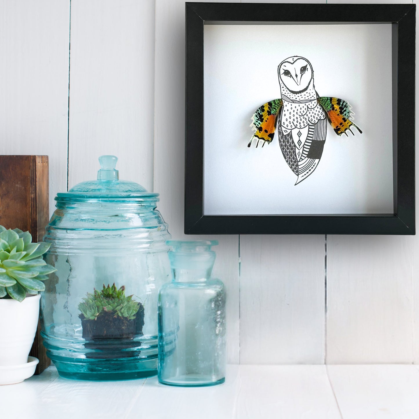 Barn Owl Custom Framed Art with Real Butterfly Wings - Isms Butterfly Conservation ArtFramed Art