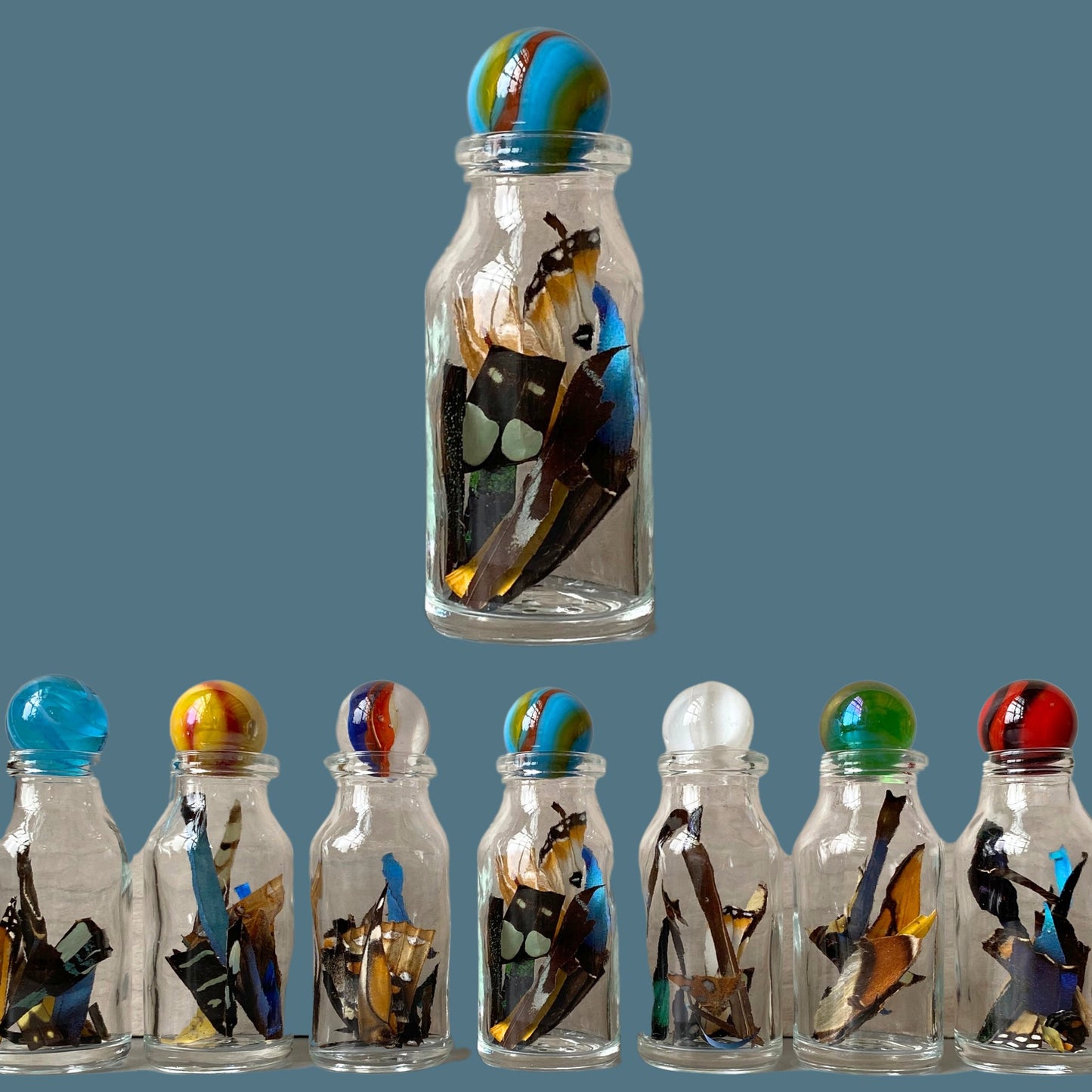 Confetti from Real Butterfly Wing in Glass Bottle - Isms Butterfly Conservation ArtBottles