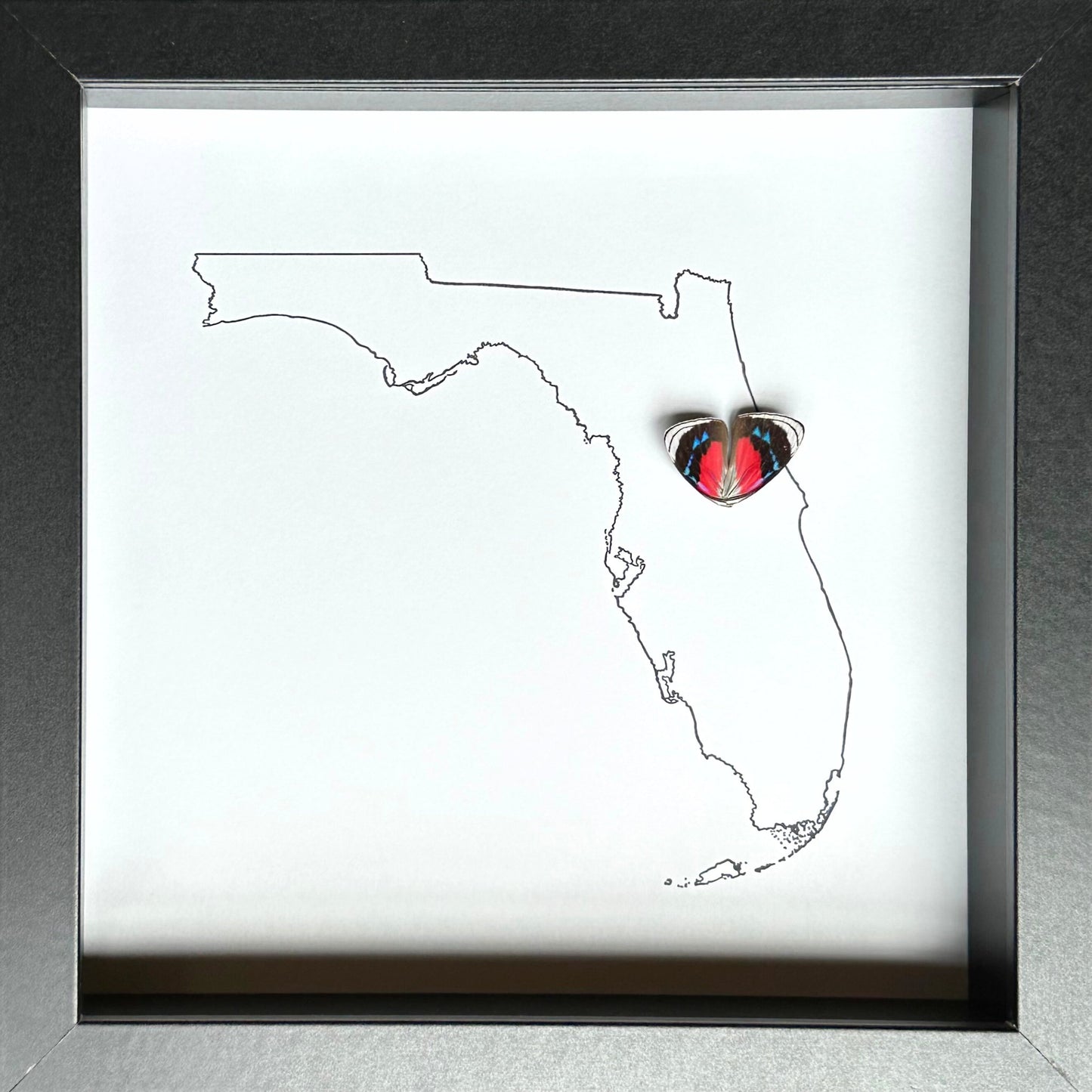 Custom City and State Hometown Framed Art with Real Butterfly Wings - Isms Butterfly Conservation ArtFramed Art