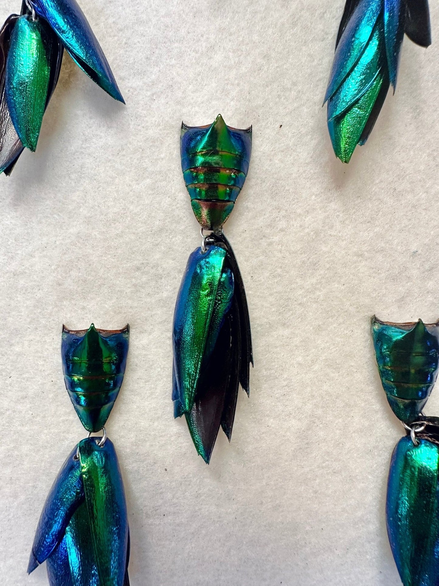 Elytra Beetle Pins - Unique Insect Accessories - Isms Butterfly Conservation Art