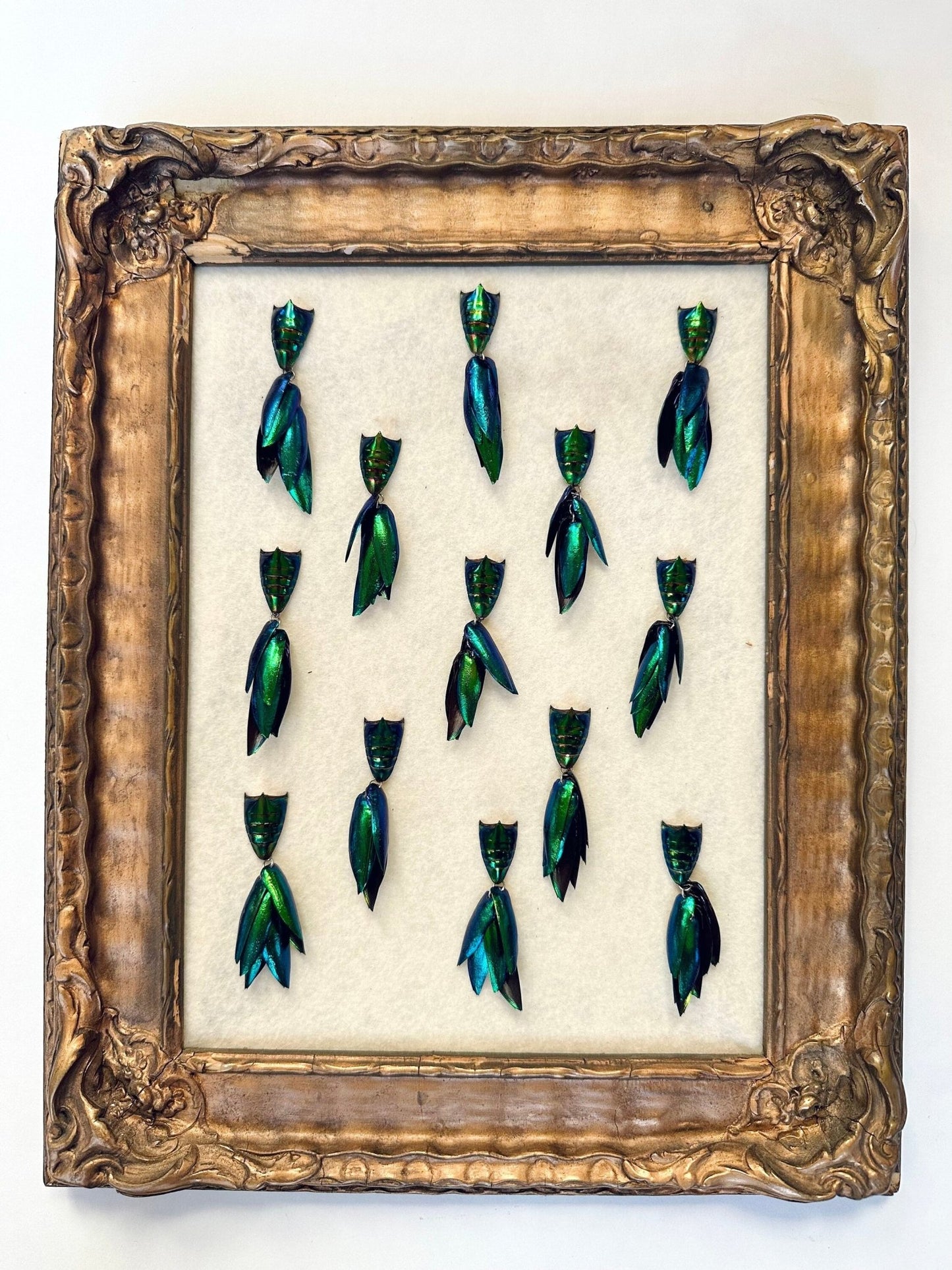 Elytra Beetle Pins - Unique Insect Accessories - Isms Butterfly Conservation Art