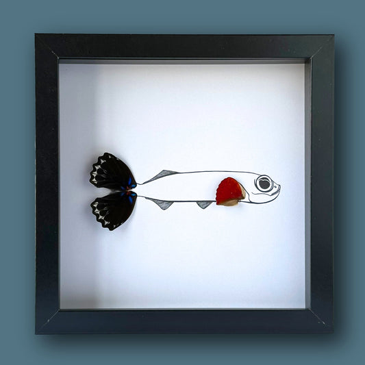 Flying Fish Custom Framed Art with Real Butterfly Wings - Isms Butterfly Conservation ArtFramed Art