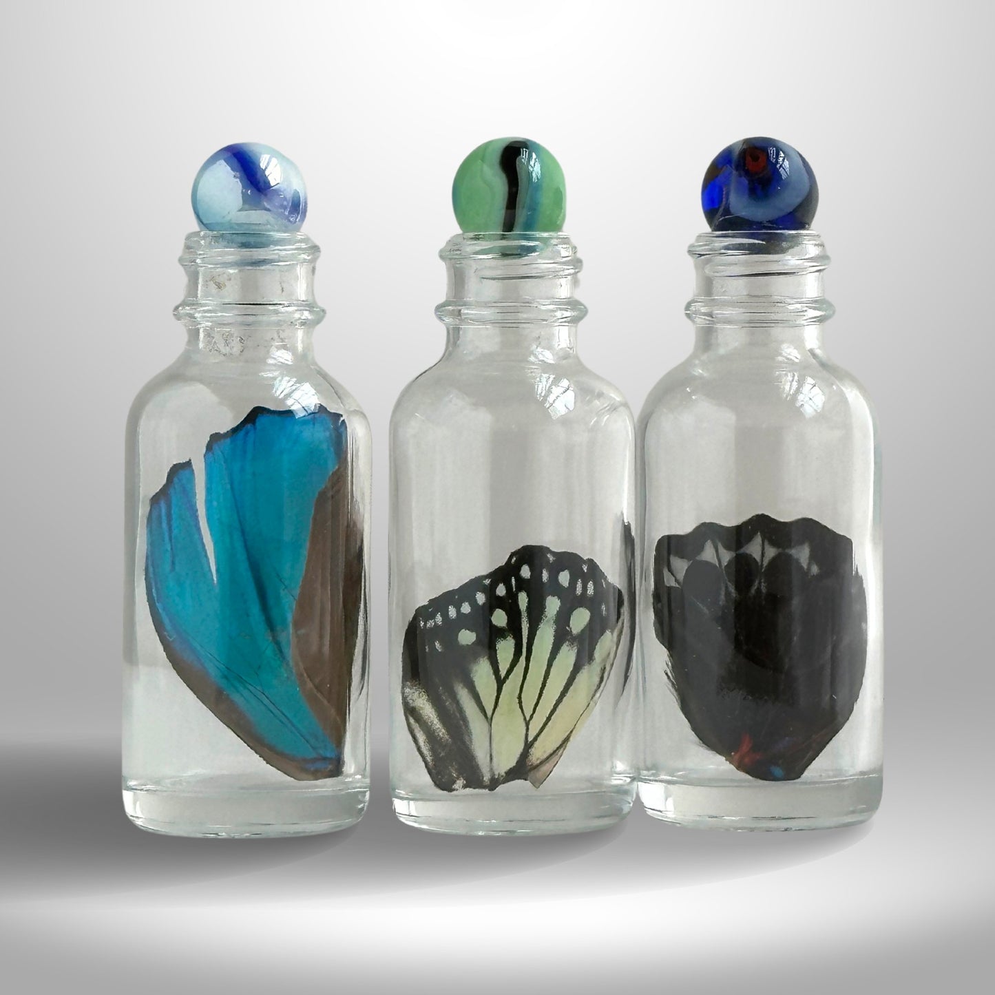 Premium Butterfly Wing in Glass Bottle - Isms Butterfly Conservation ArtBottles