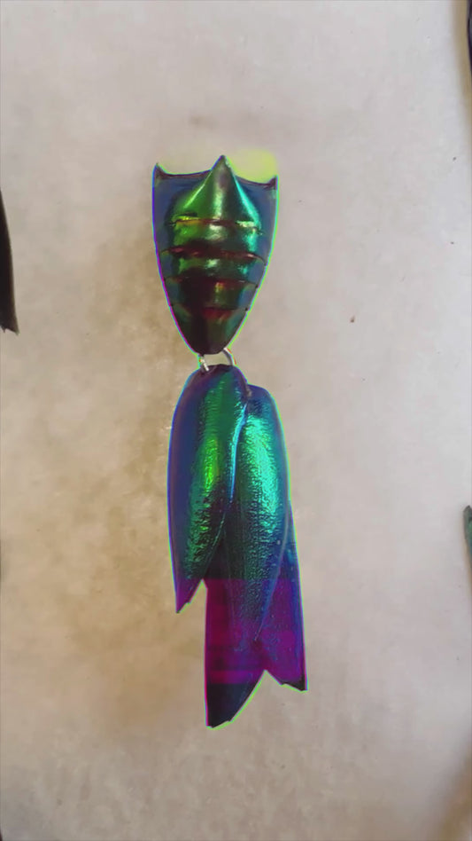 Elytra Beetle Pins - Unique Insect Accessories