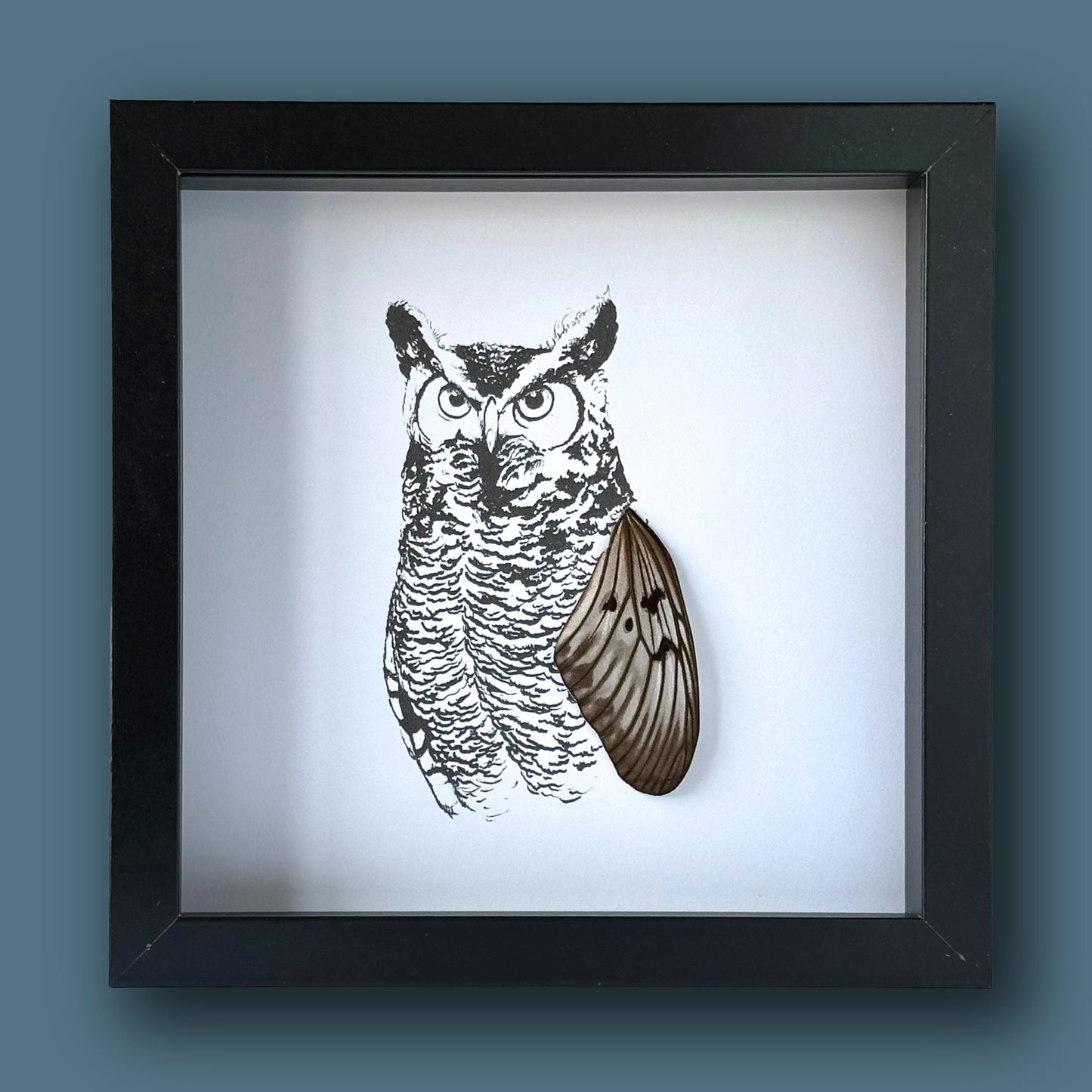 Realistic Horned Owl Framed Art with Real Butterfly Wings - Isms Butterfly Conservation ArtFramed Art