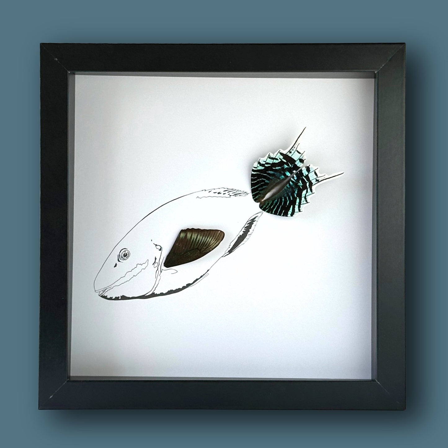 Tropical Parrot Fish Framed Art with Real Butterfly Wings - Isms Butterfly Conservation ArtFramed Art