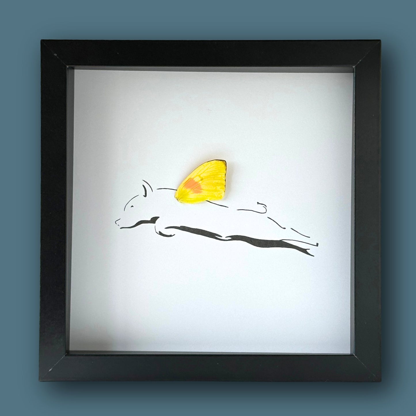 When Pigs Fly Framed Pig Art with Real Butterfly Wing - Isms Butterfly Conservation ArtFramed Art
