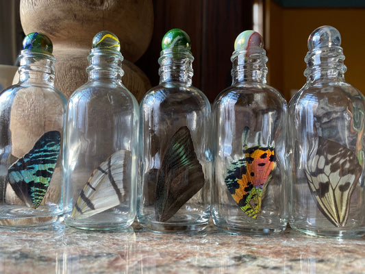 X-Large Real Butterfly Wing Bottle From and For Conservation