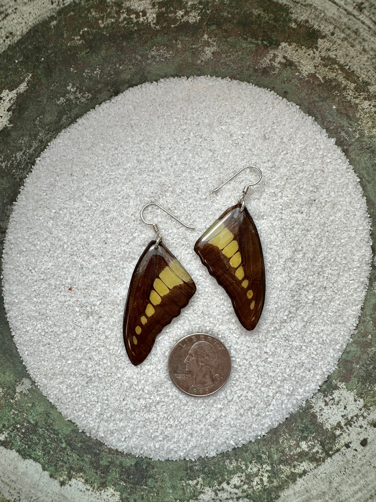 Real Butterfly Wing Sterling Silver Earrings