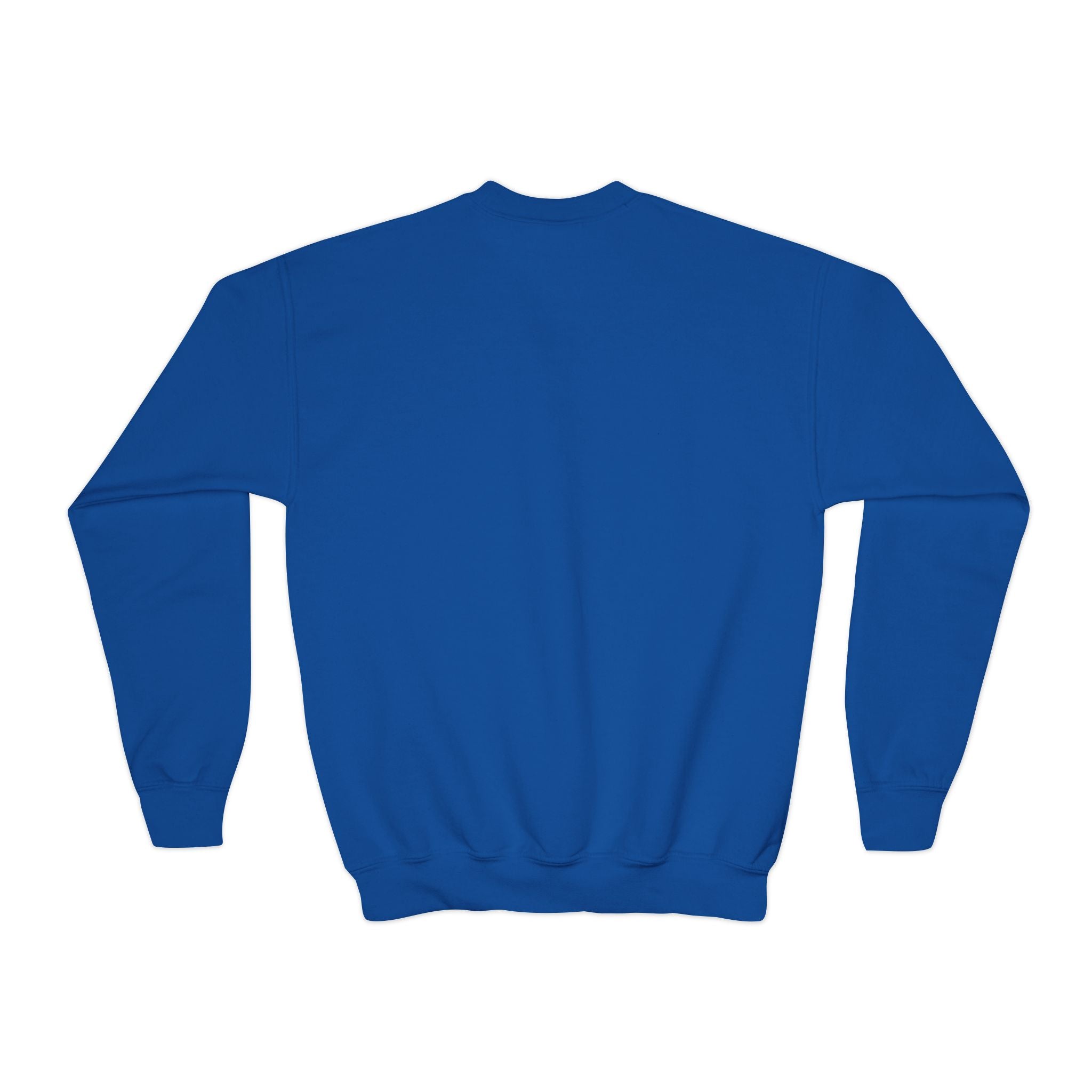 Youth Crewneck Sweatshirt - BWCA Loon (Made in USA)