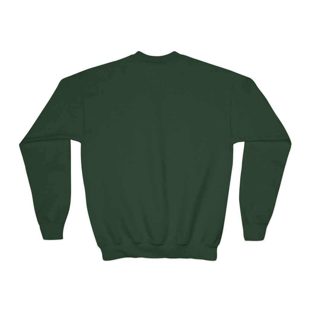 Youth Crewneck Sweatshirt - BWCA Loon (Made in USA)