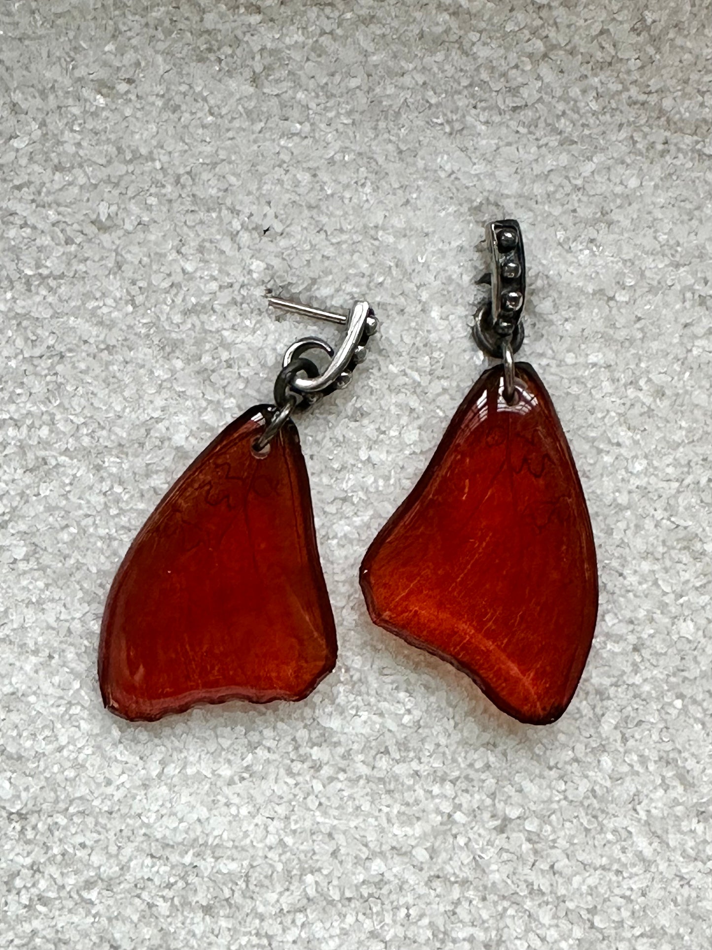 Real Blood Red Glider Butterfly Earrings with Sterling Silver