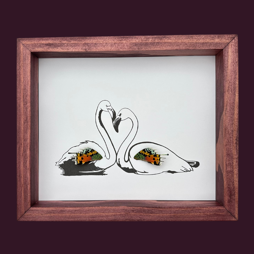 Flamingo Pair Real Butterfly Wing Framed Art Ethically Sourced Made in MN USA - Holly Ulm - Isms Butterfly Conservation Art