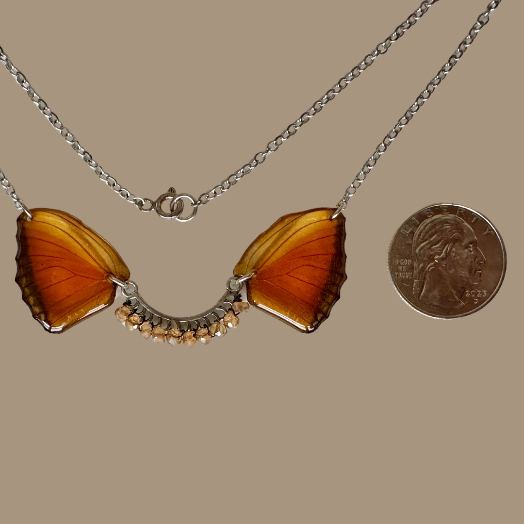 Real Dryas iulia (Julia Butterfly) Butterfly OOAK Necklace • Topaz • Sterling Silver