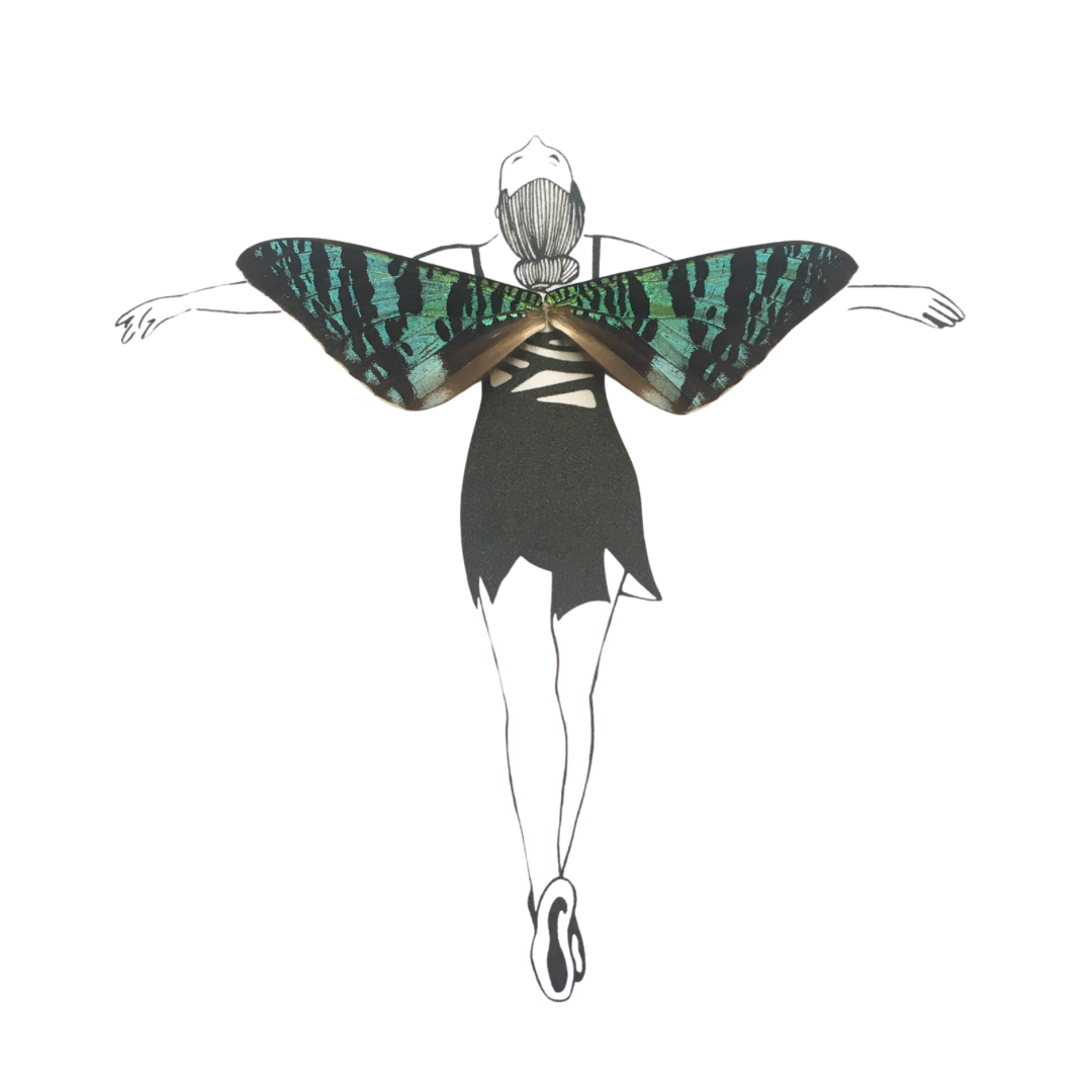 Ballerina Fairy Dancer Real Butterfly Wings Frame Illustration From and For Conservation