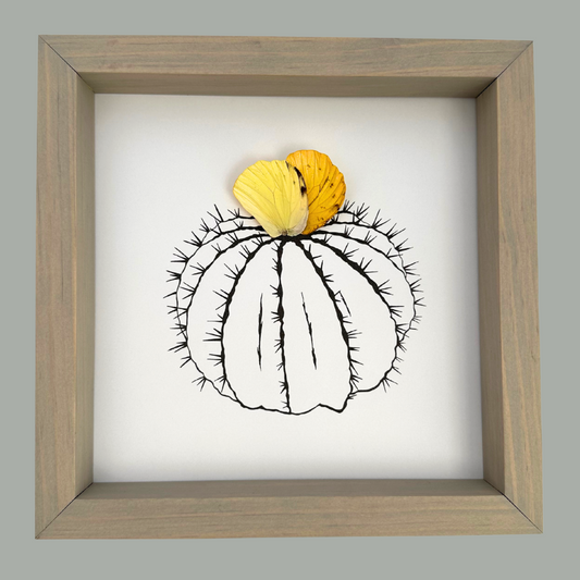 Flowering Cactus Illustration Framed with Real Butterfly Wings From and For Conservation