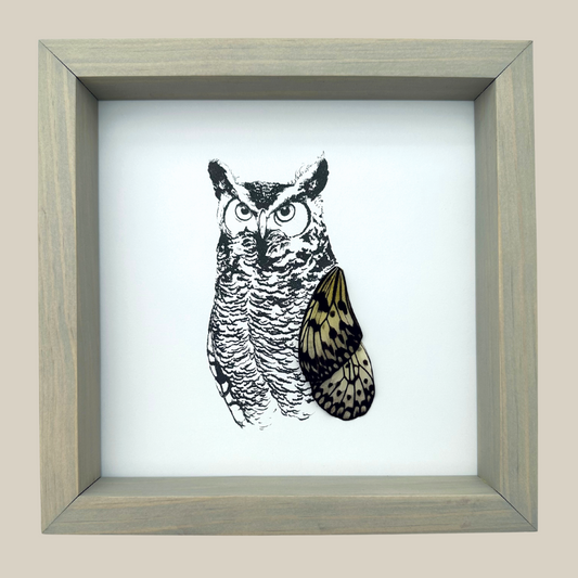 Horned Owl Real Butterfly Wing Framed Art Ethically Sourced Made in MN USA - Holly Ulm - Isms Butterfly Conservation Art