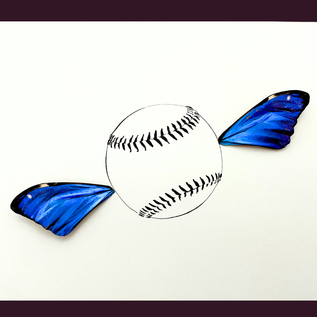 "Fly Ball" Baseball Softball Illustration Framed with Real Butterfly Wings From and For Conservation