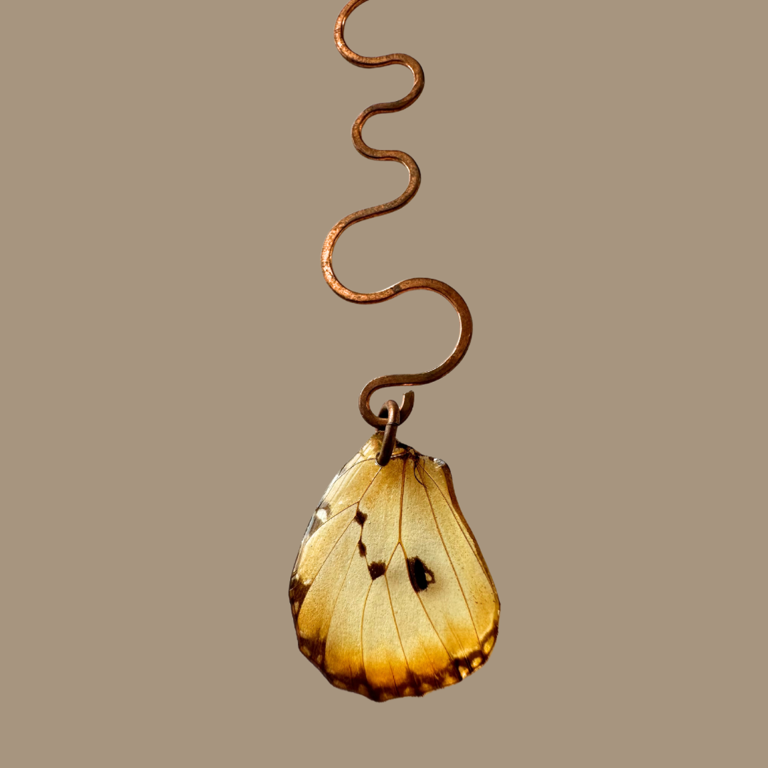 Real Plain Tiger African Monarch (Danaus chrysipus) Butterfly Wing Suncatcher Window Hanging with handformed Copper
