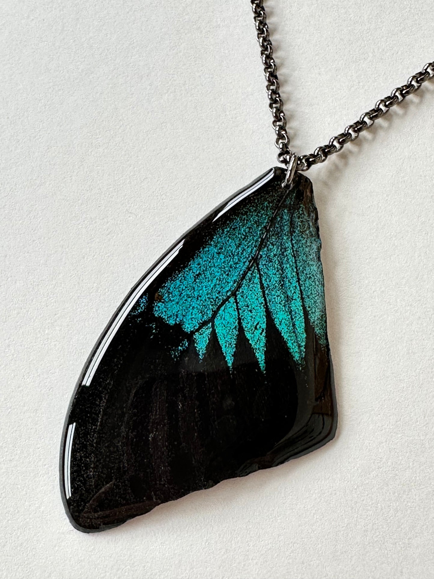 Real Blue Mountain Butterfly Wing Necklace Steel