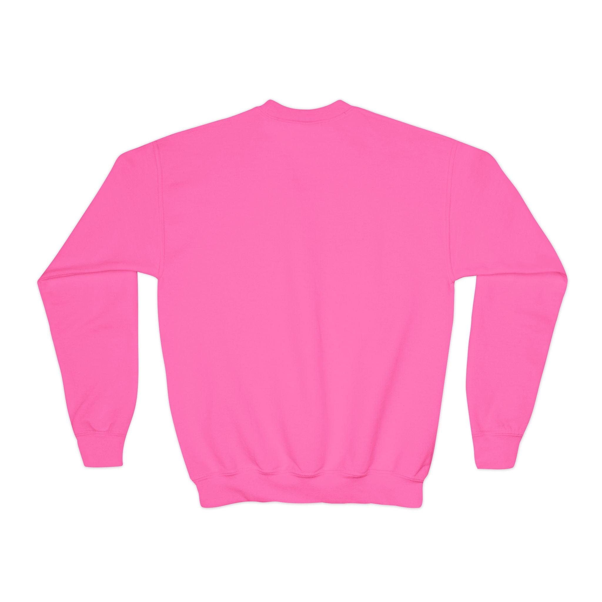 Youth Crewneck Sweatshirt - BWCA Loon (Made in USA)