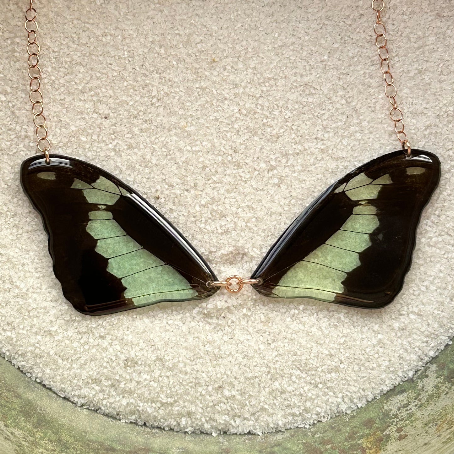 Real Green Apple Swallowtail Butterfly Wing Bow tie Necklace Rose Gold (Papilio phorcas)