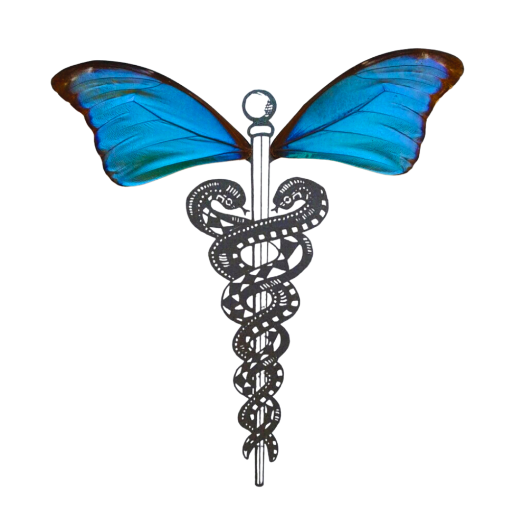 Caduceus Medical Symbol Butterfly Wing ArtFrom and For Conservation
