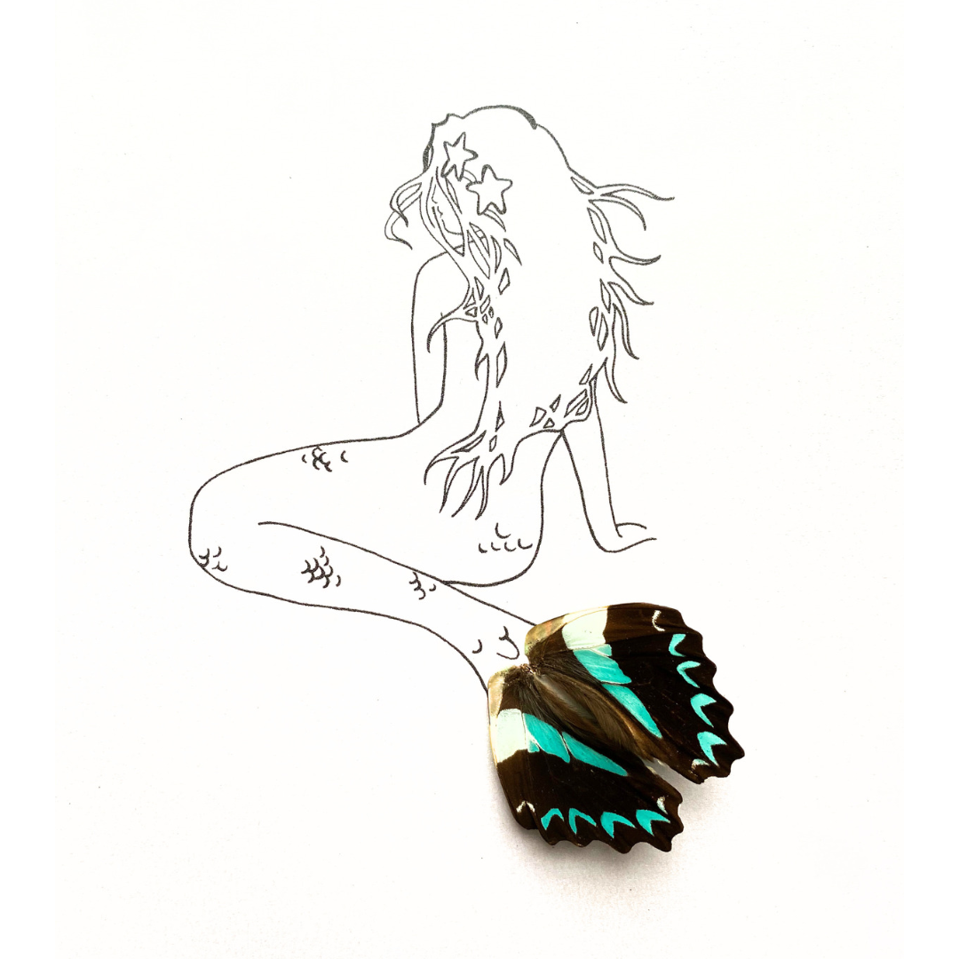 Mermaid Real Butterfly Wing Framed Art From and For Conservation