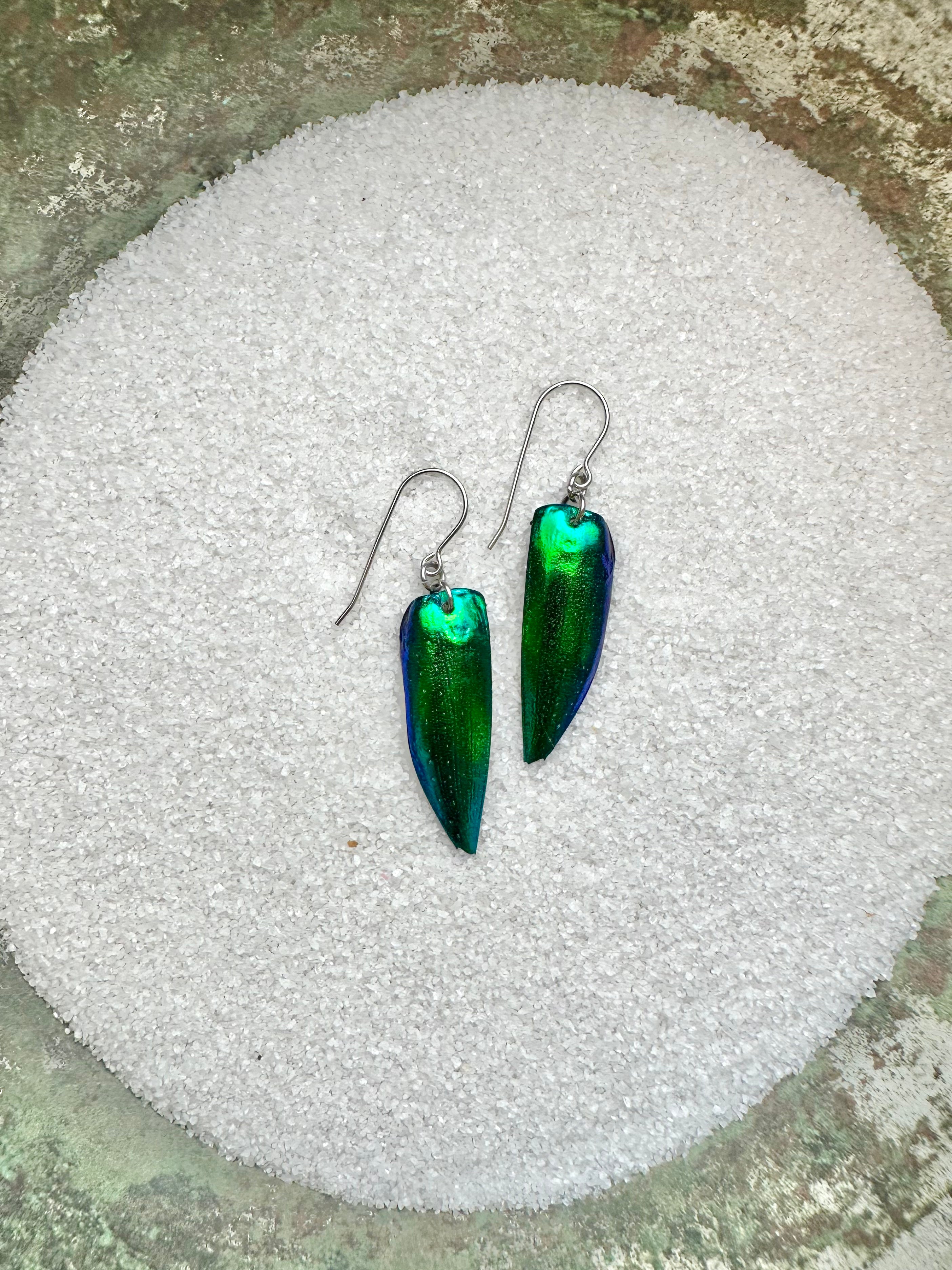 electric green iridescent earrings from real green beetle elytra with hypoallergenic surgical steel for sensitive ears perfect gift for $20 girlfriend wife teacher waitress bartender gift idea best earrings 2024