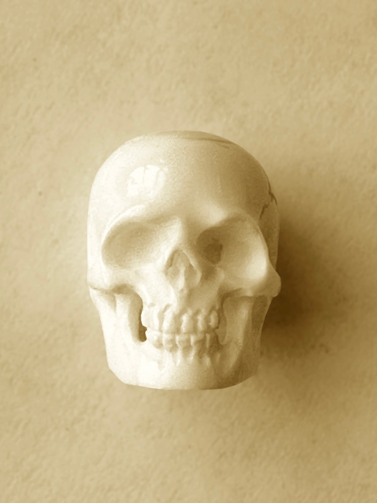 Hand Carved Bison Bone and Horn Skulls - Choose Necklace, Bead or Decor