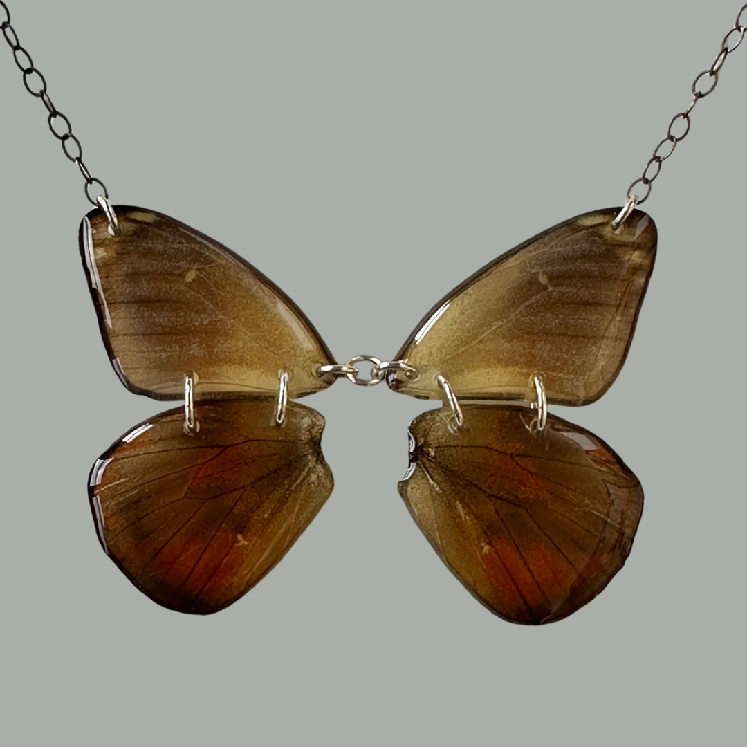 Real Delias Butterfly Necklace - Statement Piece for Nature Lovers