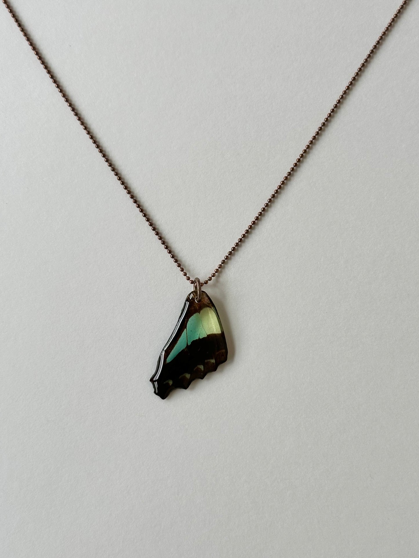 Real Blue Bottle Butterfly Wing Necklace Rose Gold (Graphium sarpedon)
