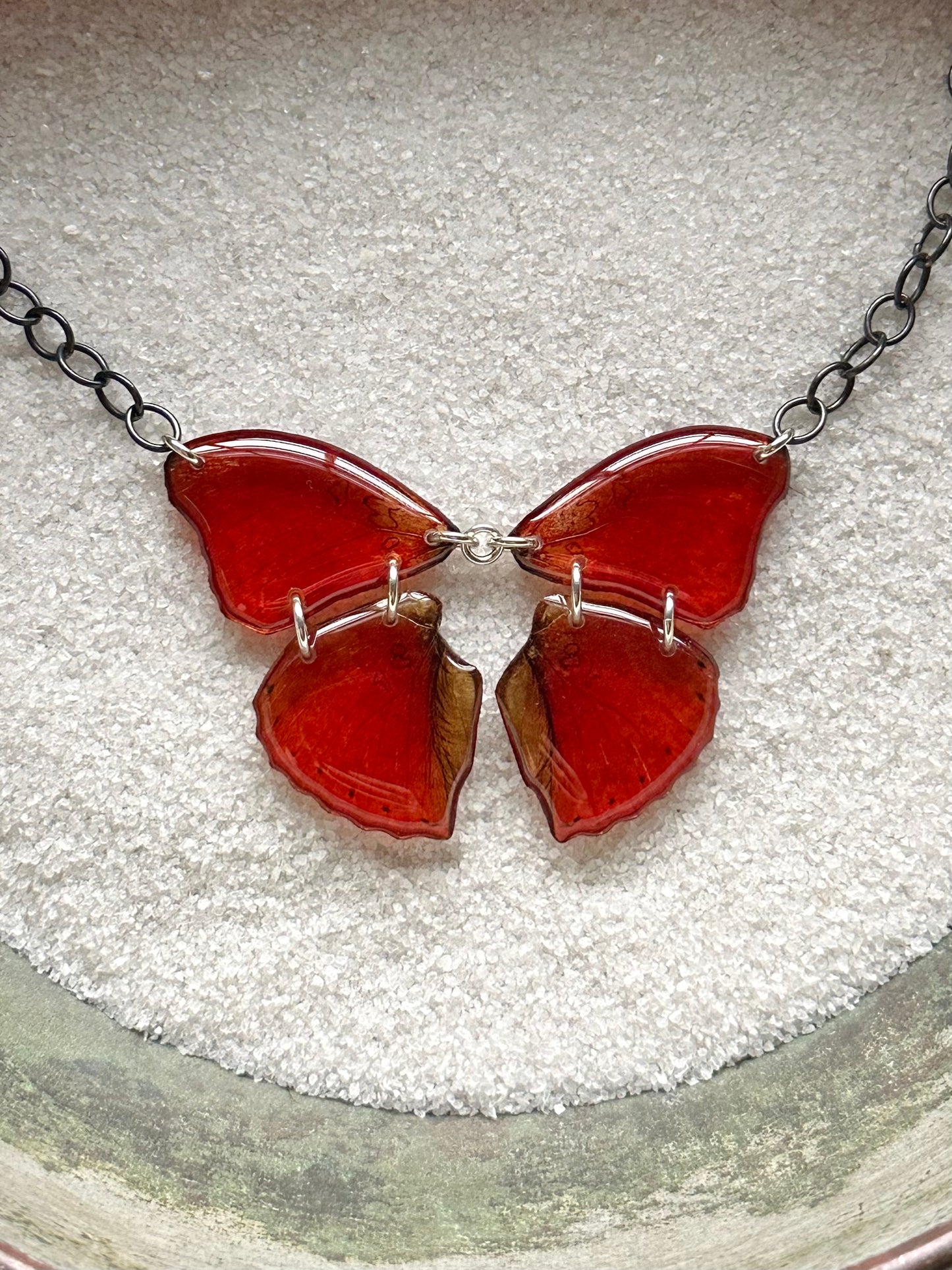 Real Whole Blood Red Glider Butterfly Wing Necklace