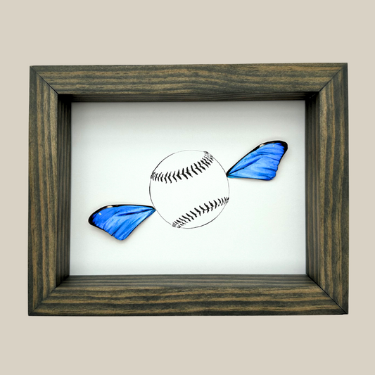 Fly Ball Baseball Real Butterfly Wing Art Ethically Sourced Made in MN USA - Holly Ulm - Isms Butterfly Conservation Art