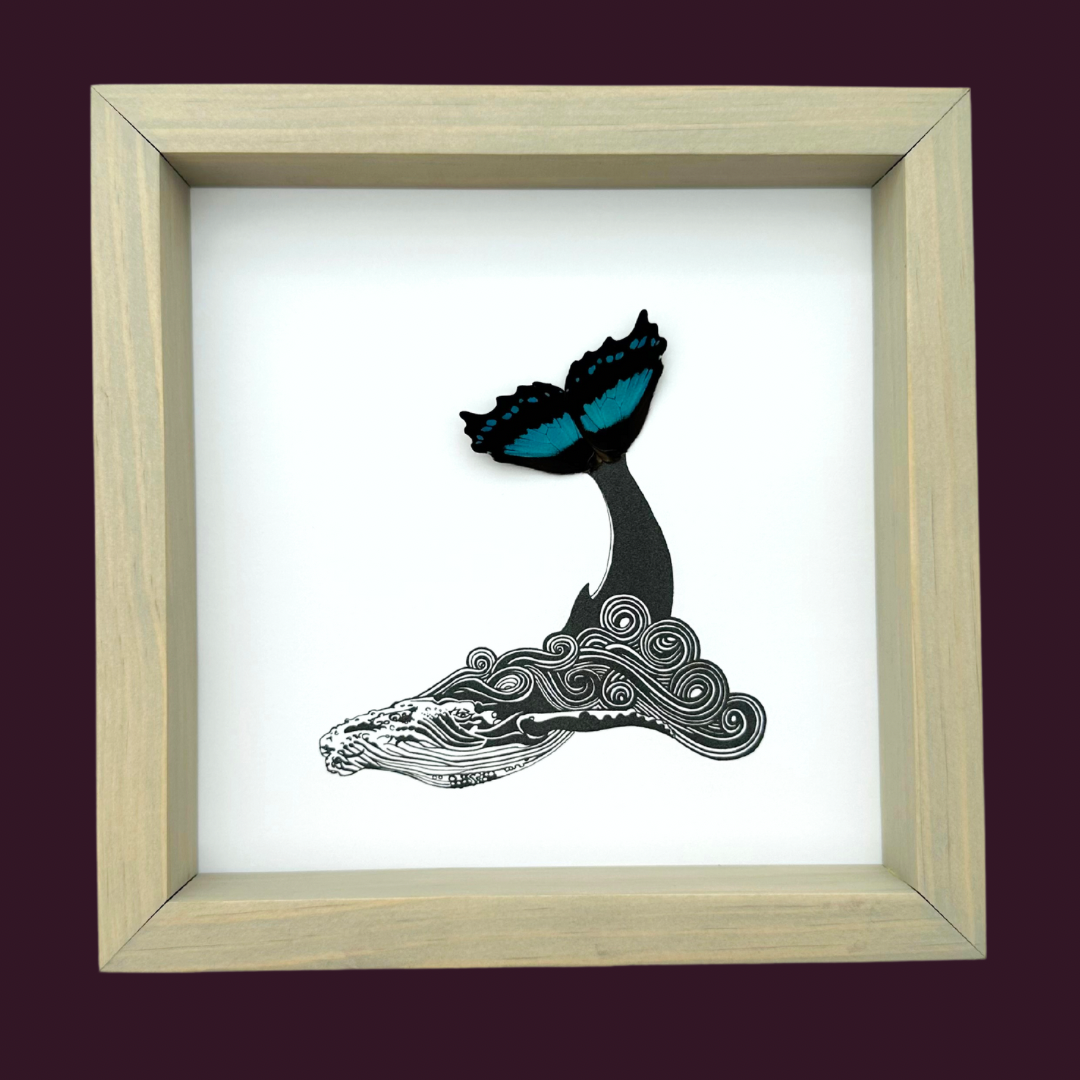 Humpback Whale Tail Underwater Art Real Butterfly Wing Framed Ethically Sourced Made in MN USA - Holly Ulm - Isms Butterfly Conservation Art