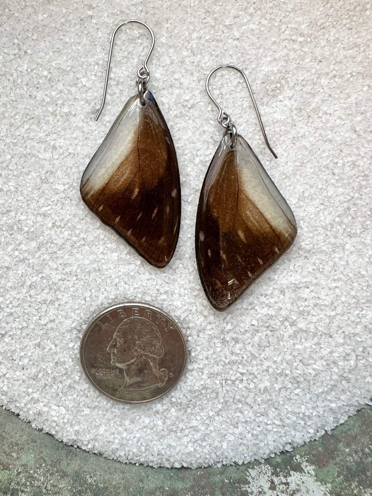 Real Spotted Sawtooth Butterfly Wing Surgical Steel Earrings