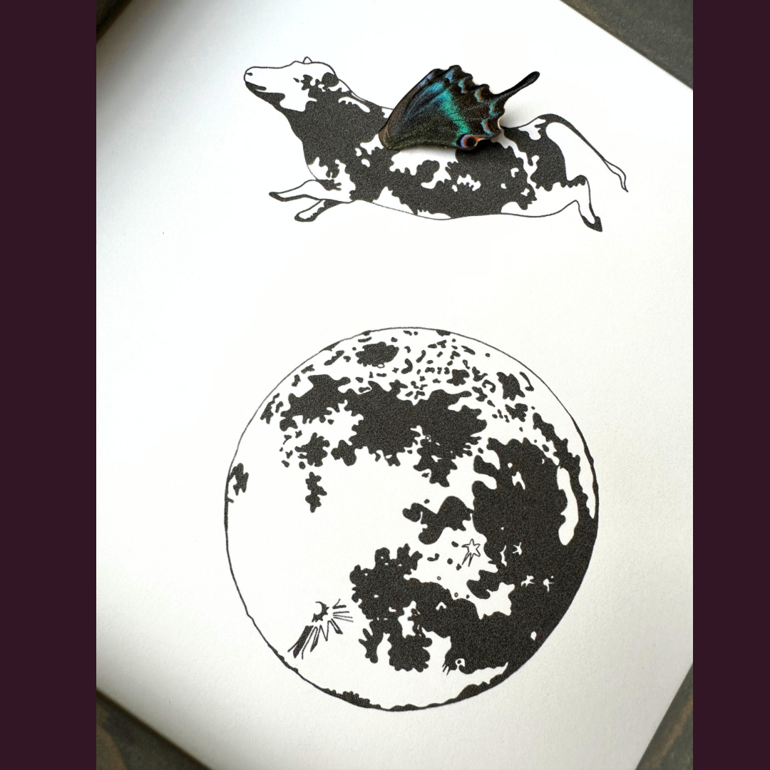 Cow Jumping Moon Real Butterfly Wing Framed Illustration Wings From and For Conservation