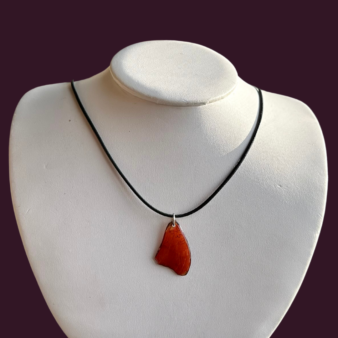 Real Blood Red Glider Butterfly Wing Necklace