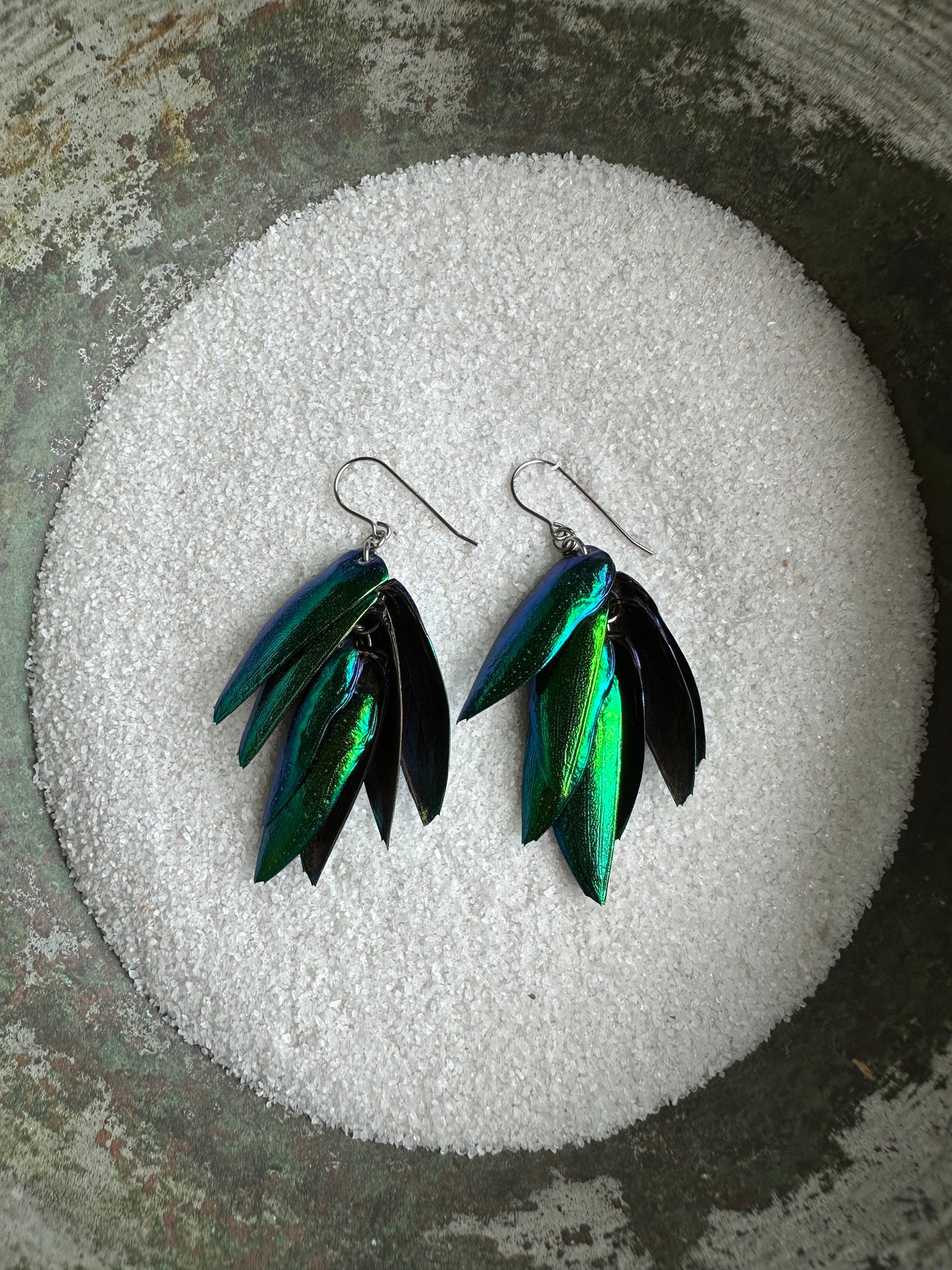 Bundle of Real Wing Earrings made from Elytra Beetles with Surgical Steel