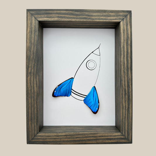 Rocket Real Butterfly Wings Framed Art From and For Conservation