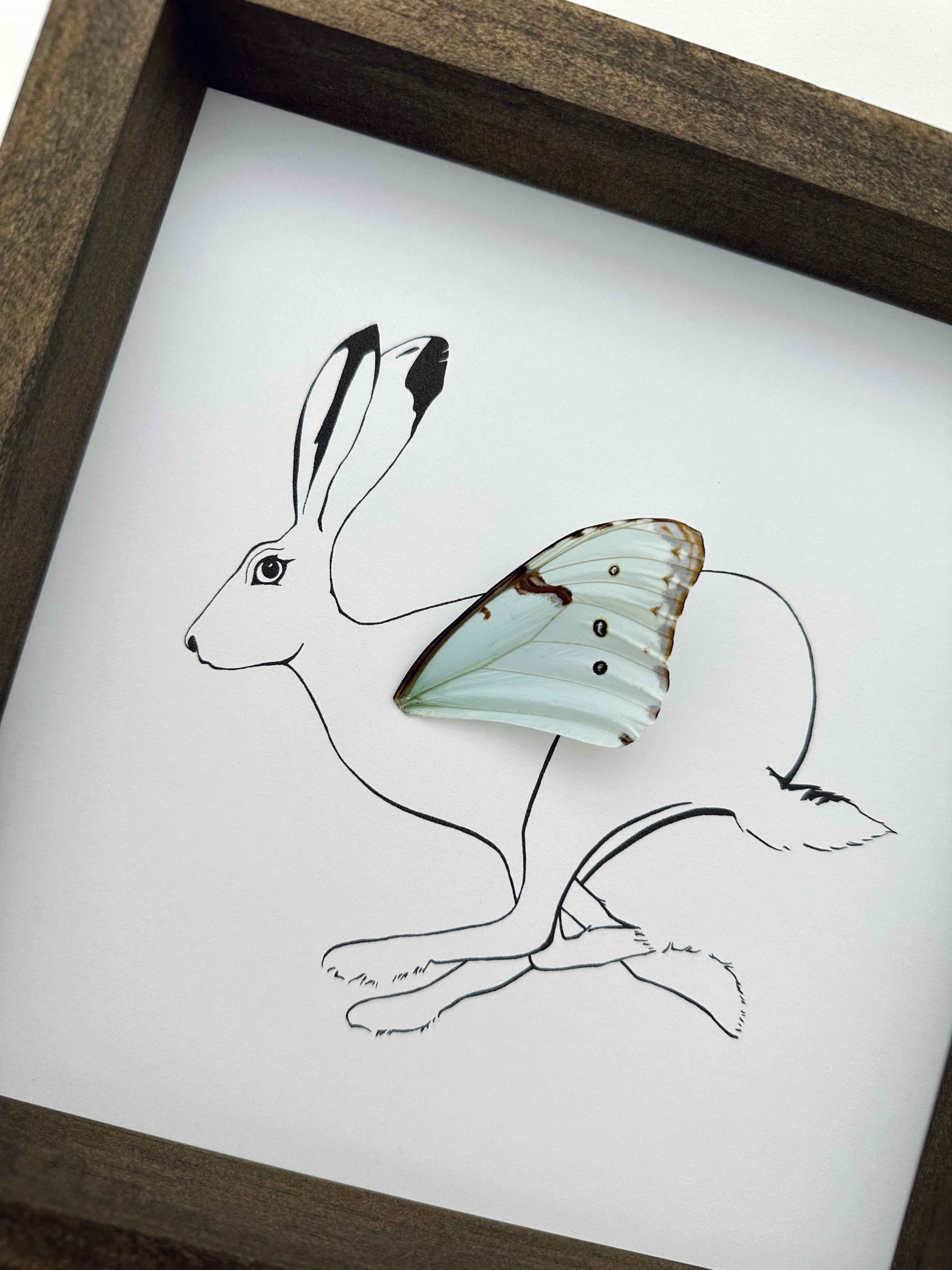 Rabbit Hare Framed Art with Real Butterfly Wing