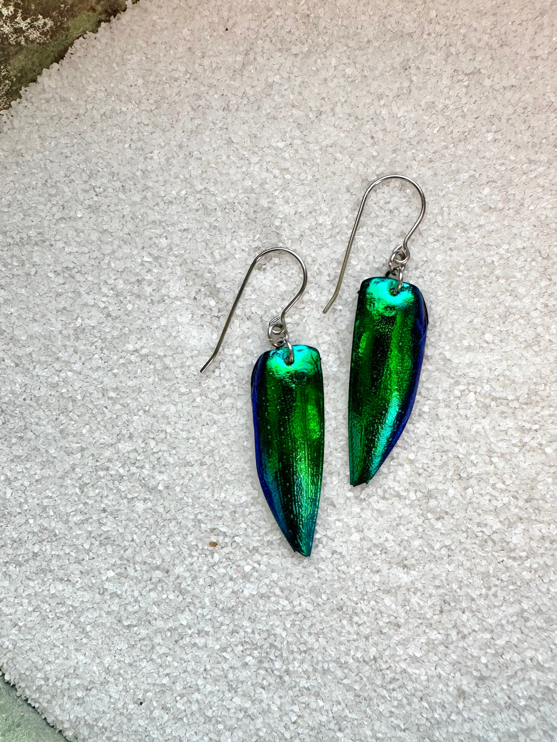 lustrous green dazzling earring color from dramatic real green beetle wing elytra hypoallergenic surgical steel ear hooks for sensitive ears lightweight waterproof durable perfect $20 gift for her eye catching spectacular earrings for tips compliment earrings 