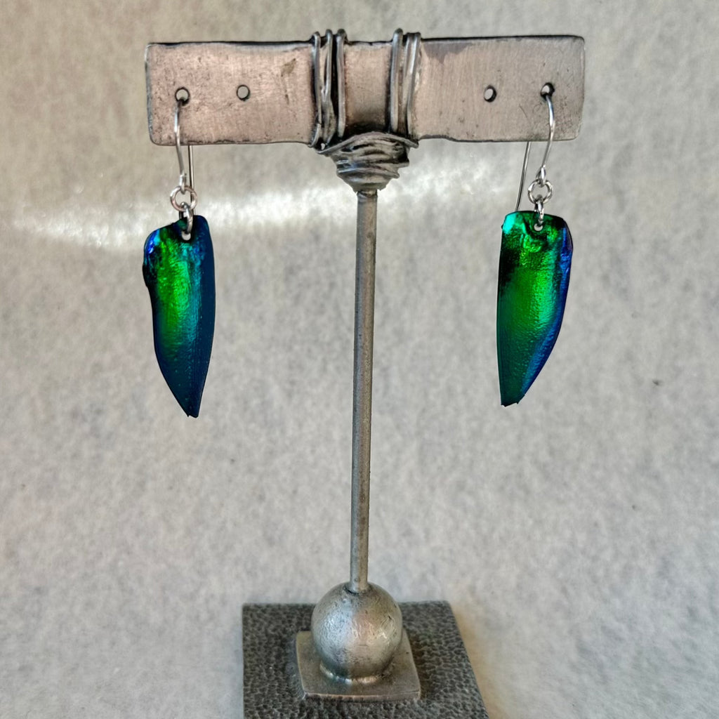 lustrous green earrings from real green beetle wing elytra hypoallergenic surgical steel for sensitive ears lightweight waterproof durable perfect gift for bug insect lover gothic style moody accessories real insect jewelry