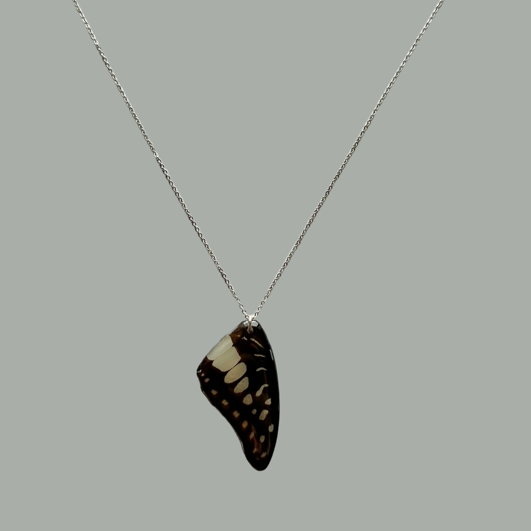Real Common Jay Butterfly Wing Simple Necklace Sterling Silver
