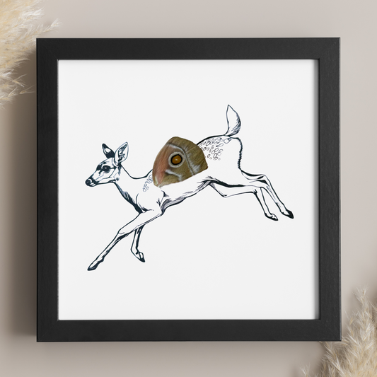 Leaping Fawn Whitetail Deer Real Butterfly Wing Framed Black and White Print Art From and For Conservation