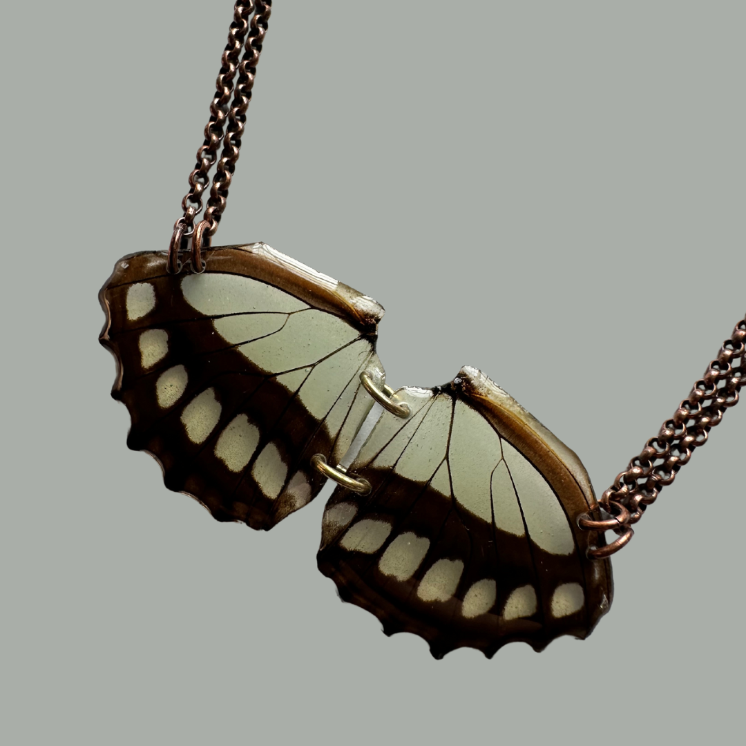 Real Scarce Bamboo Page Butterfly (Dido Longwing) Necklace with Copper and Upcycled Brass Bronze