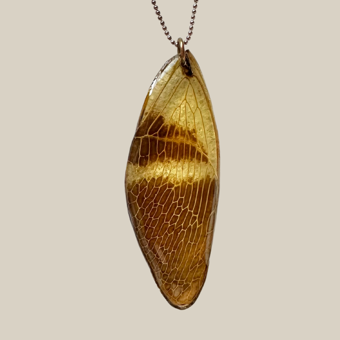 Floridula Cicada Wing with Rose Gold Ball Chain Necklace