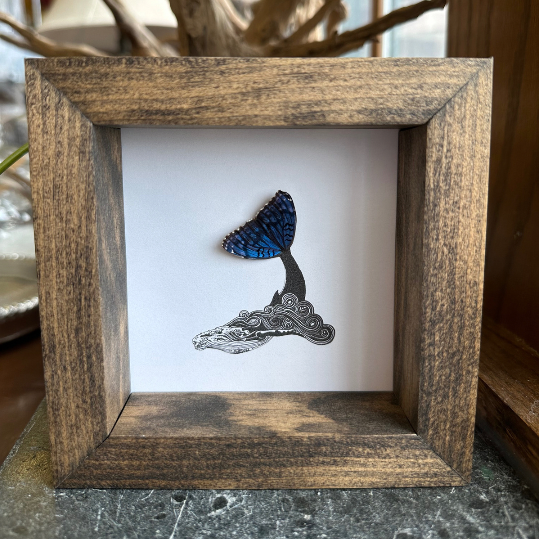 Humpback Whale Real Butterfly Wing Tail Framed Art From and For Conservation